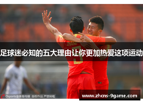 足球迷必知的五大理由让你更加热爱这项运动