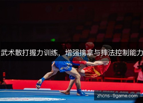 武术散打握力训练,增强擒拿与摔法控制能力 武术散打握力训练,增强擒拿与摔法控制能力